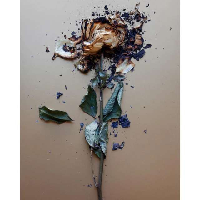 Valerie Paumelle Agent