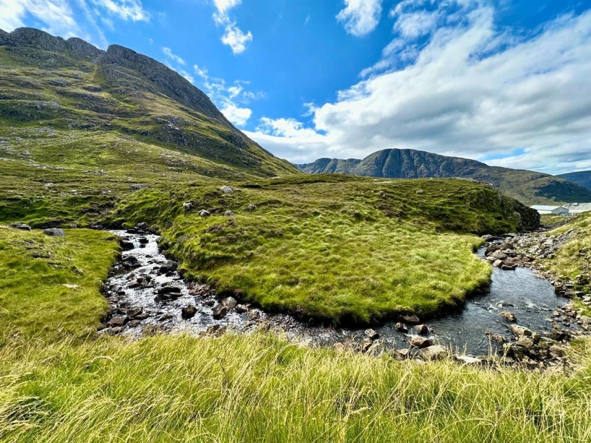 Ginsburg & Associates