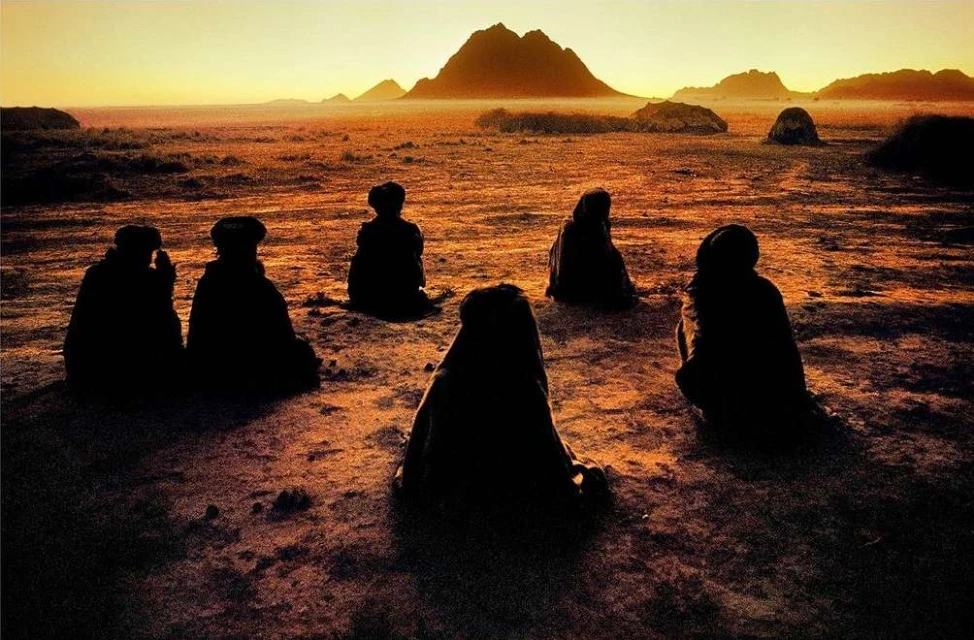 Maloney Artist Management