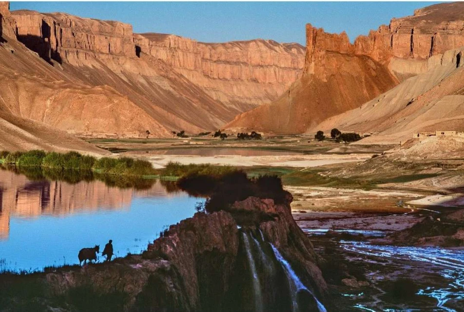 Maloney Artist Management