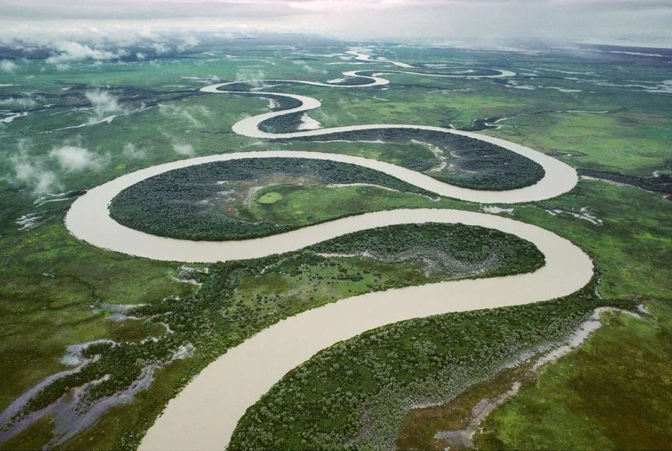 Maloney Artist Management