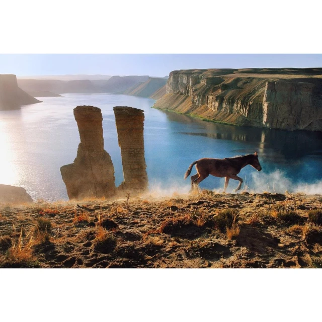 Maloney Artist Management