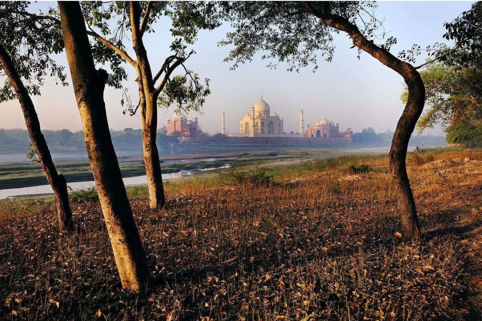 Maloney Artist Management