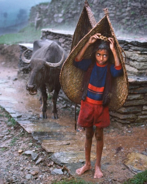 Maloney Artist Management