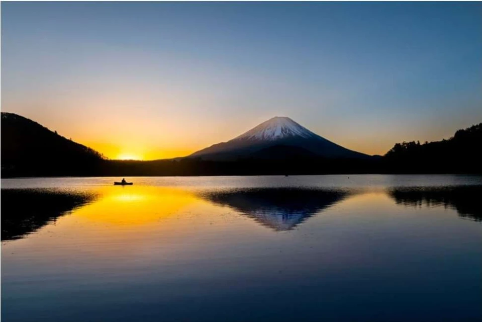 Maloney Artist Management