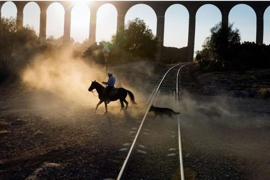 Maloney Artist Management