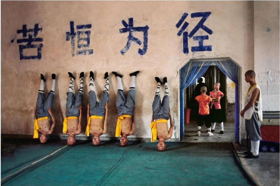 Maloney Artist Management