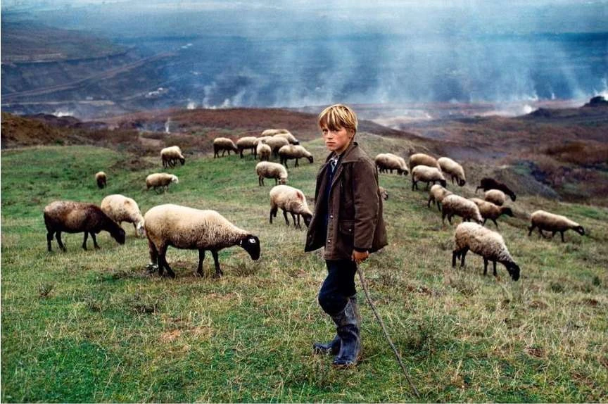 Maloney Artist Management