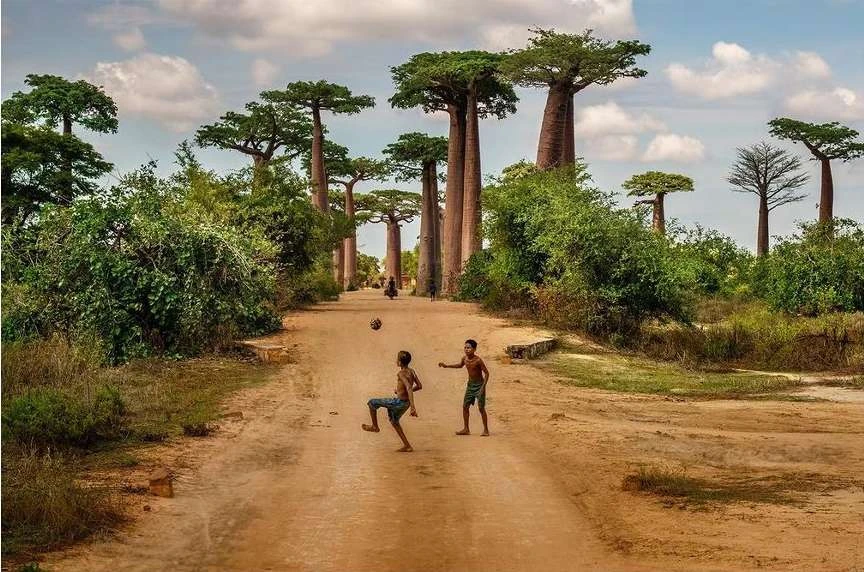 Maloney Artist Management