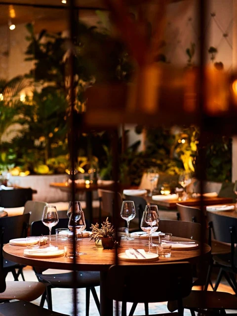 Lucid Representation