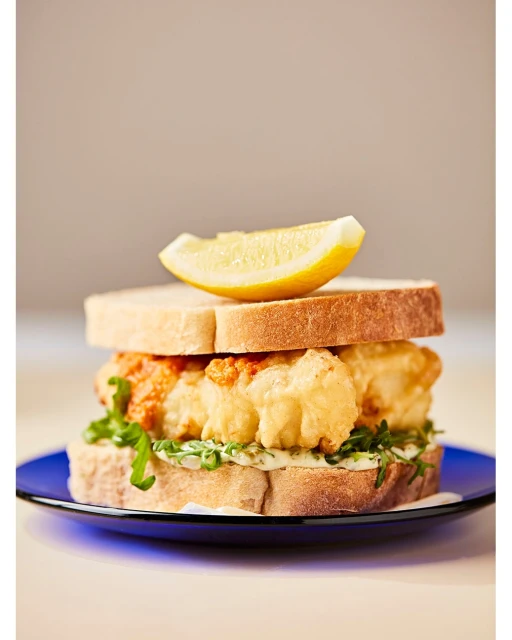 Lucid Representation