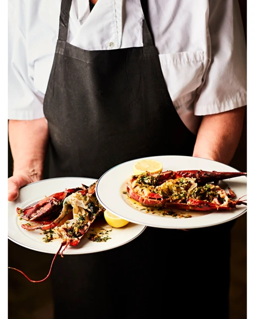 Lucid Representation