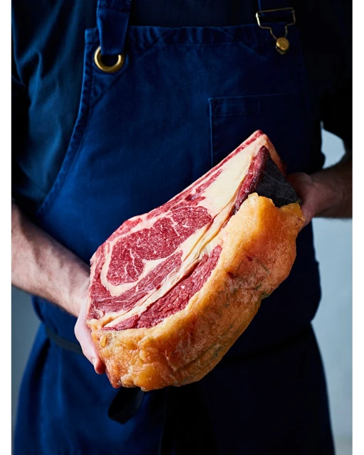 Lucid Representation