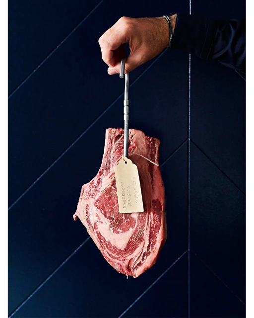 Lucid Representation