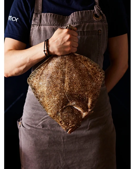 Lucid Representation