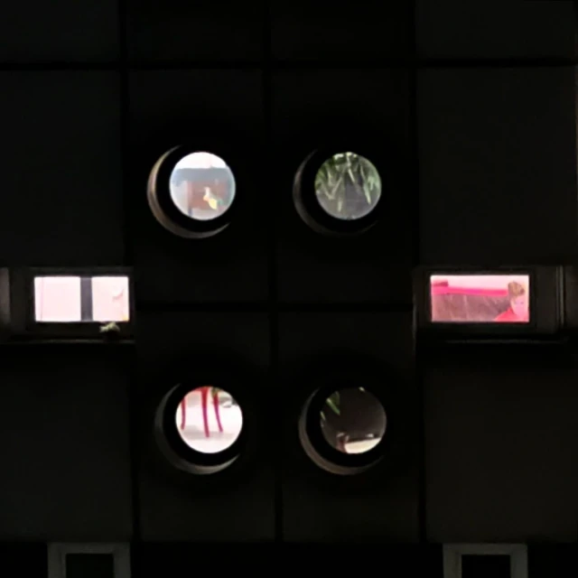 Tanya+Zhenya Posternak