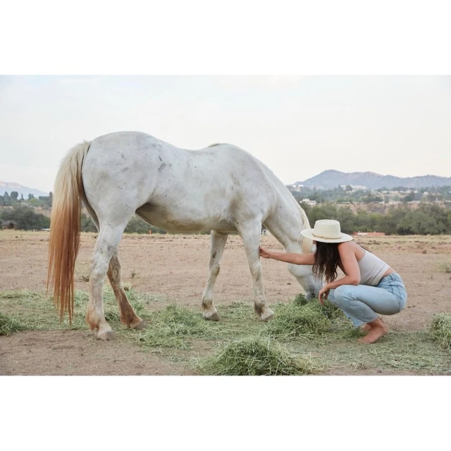 Thayer Allyson Gowdy