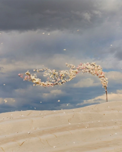 Creative Exchange Agency