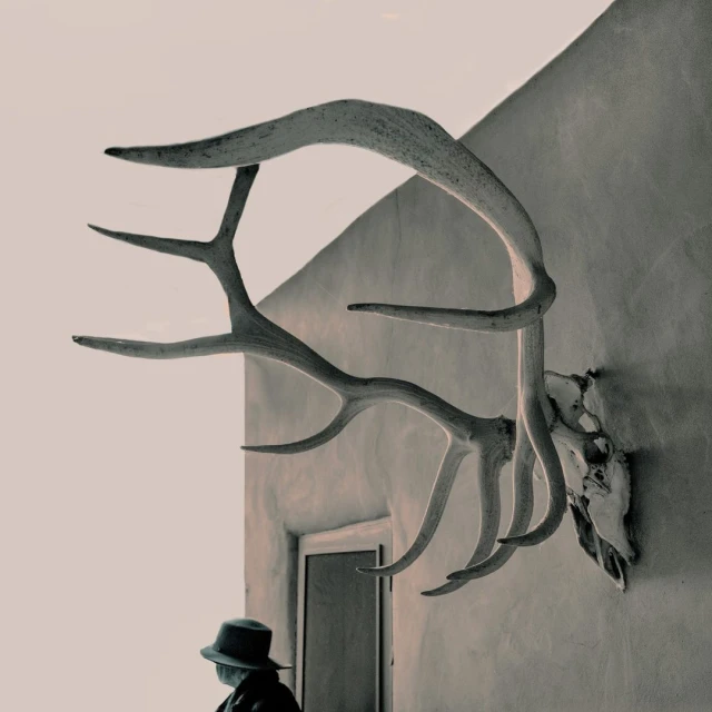 Ginsburg & Associates