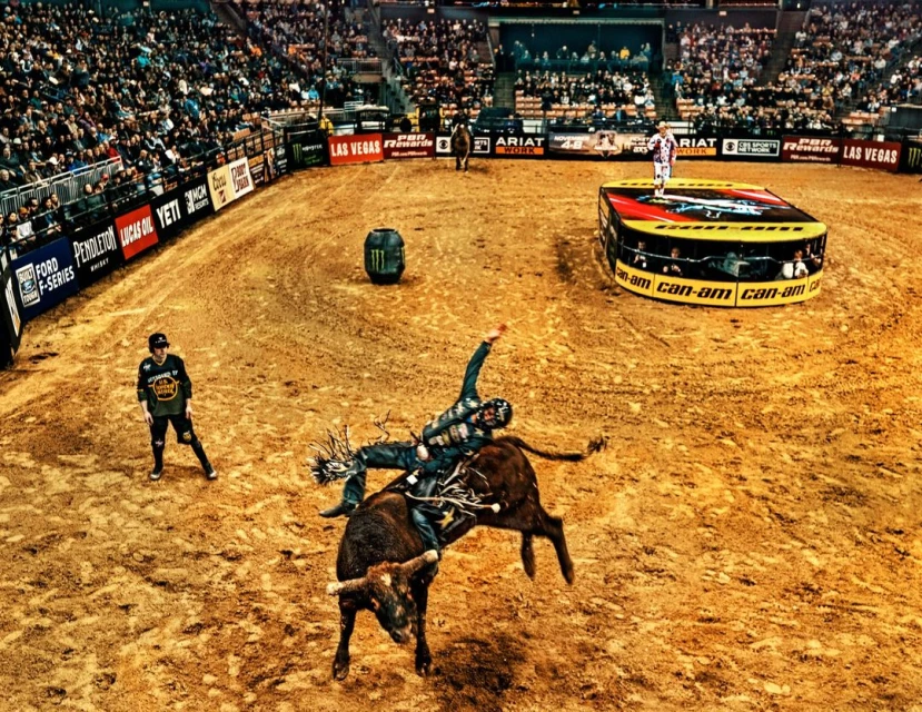 Ginsburg & Associates