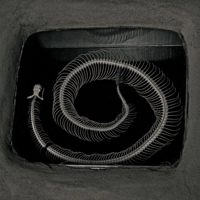 Ginsburg & Associates