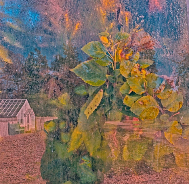 Ginsburg & Associates