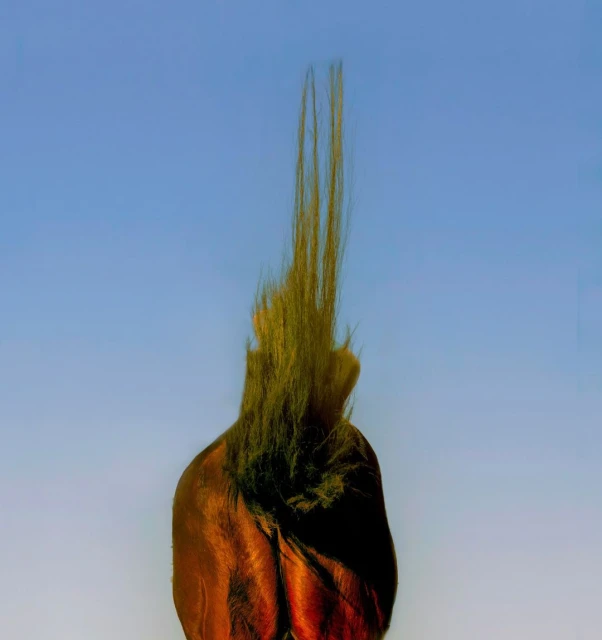 Ginsburg & Associates