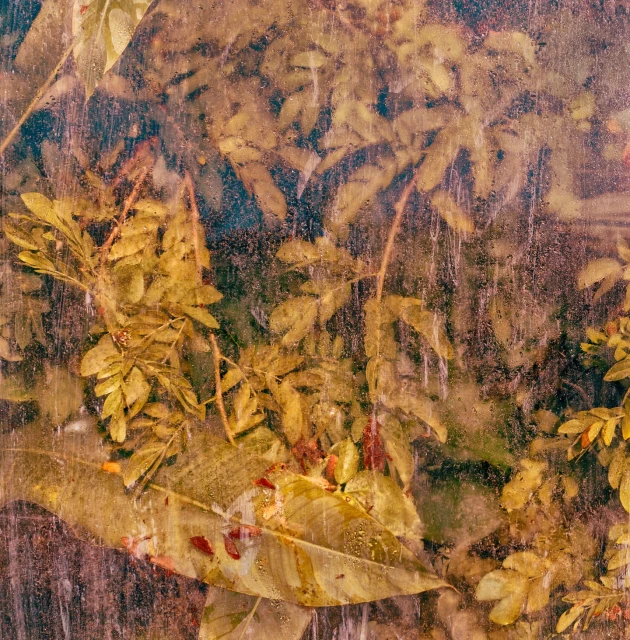 Ginsburg & Associates