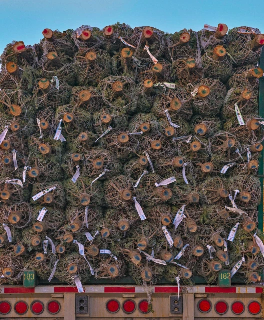 Ginsburg & Associates