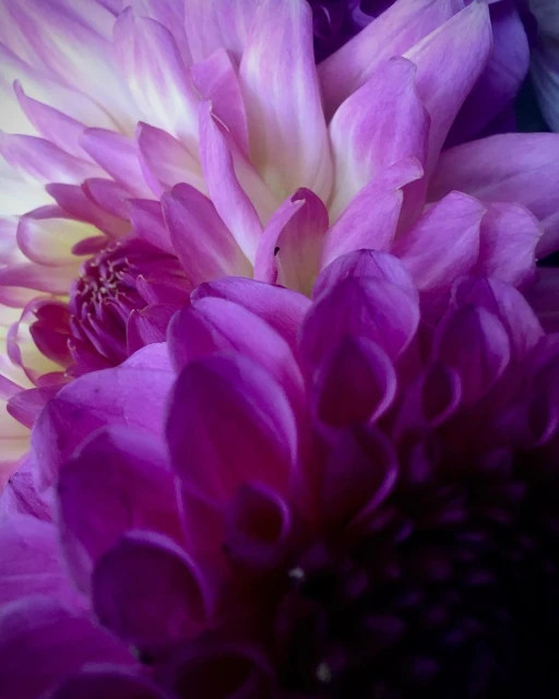 Julian Meijer Agency