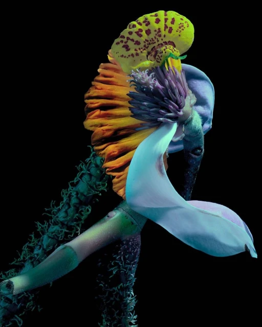 Julian Meijer Agency