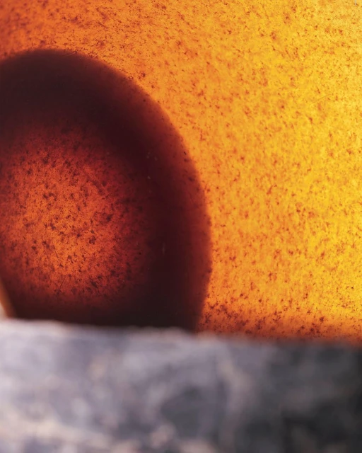 Julian Meijer Agency