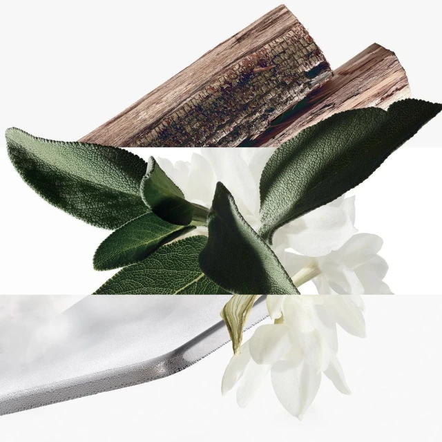 Julian Meijer Agency