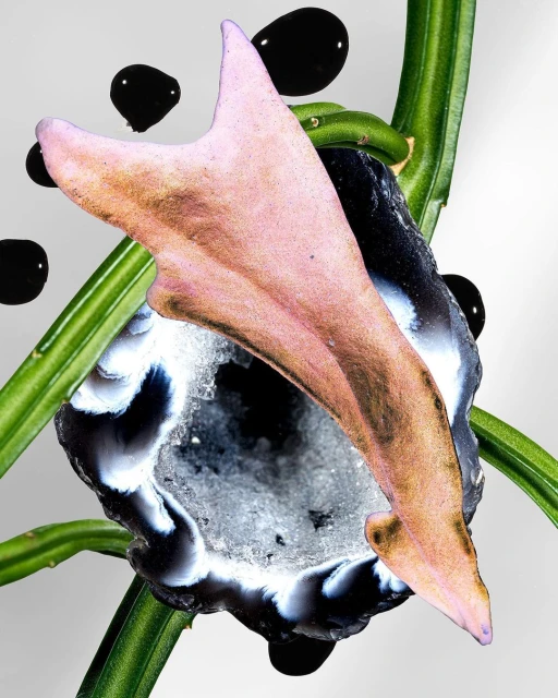 Julian Meijer Agency