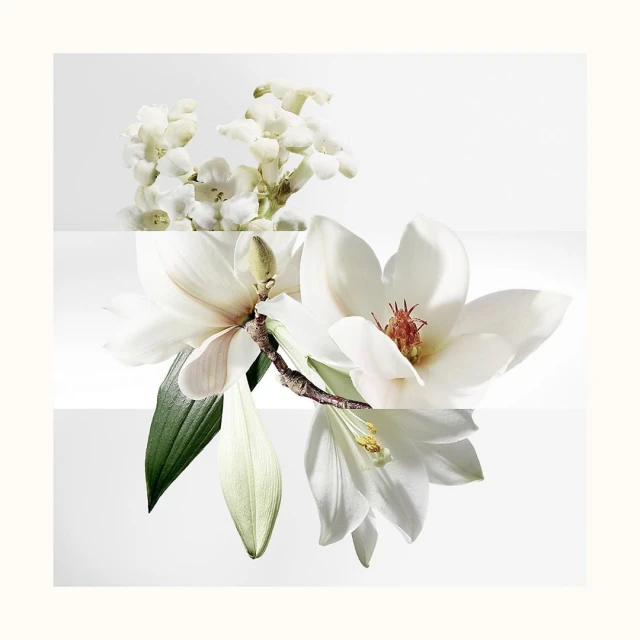 Julian Meijer Agency