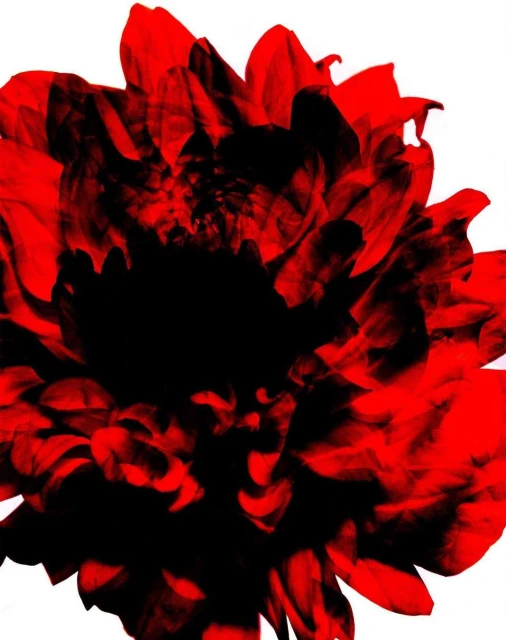 Julian Meijer Agency