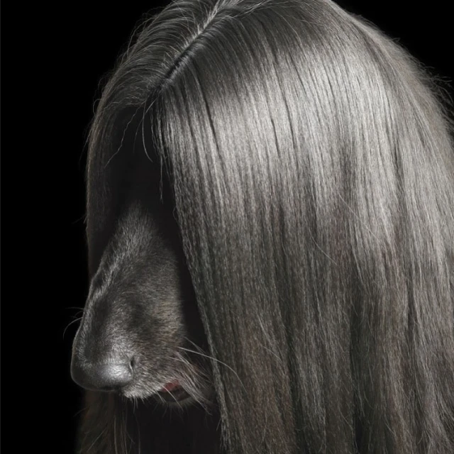 Tim Flach