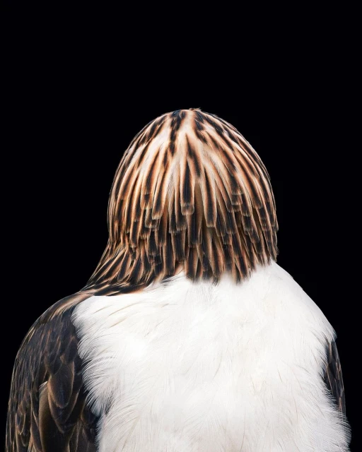 Tim Flach