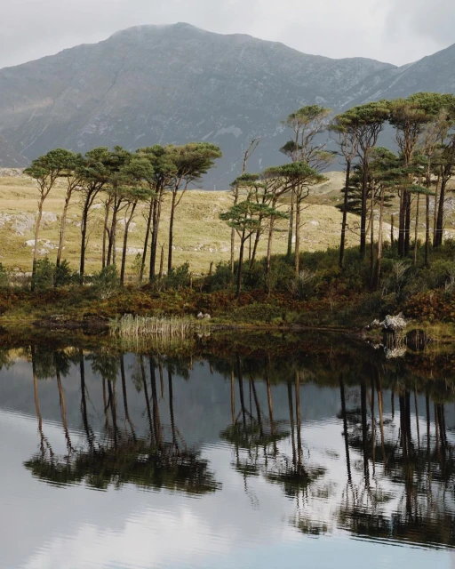 Pat Bates & Associates