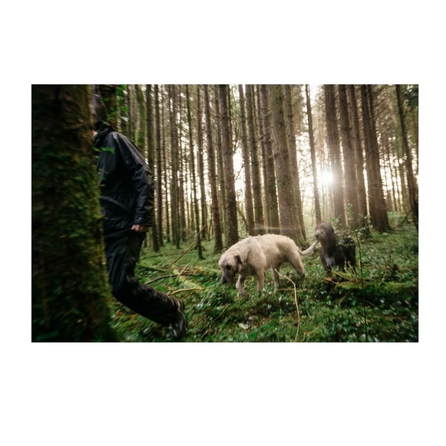 Lucid Representation