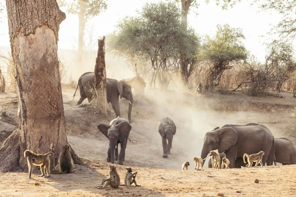 Lucid Representation