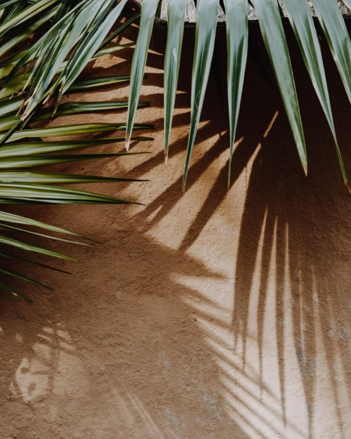 Lucid Representation