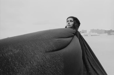 Vincent Van De Wijngaard