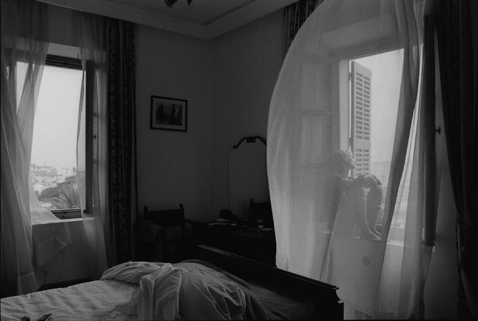 Vincent Van De Wijngaard