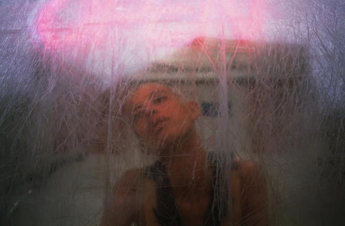 Vincent Van De Wijngaard