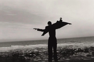 Vincent Van De Wijngaard