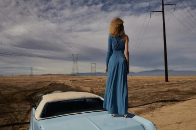 Vincent Van De Wijngaard