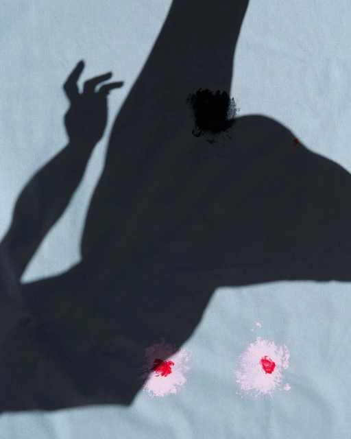 Viviane Sassen