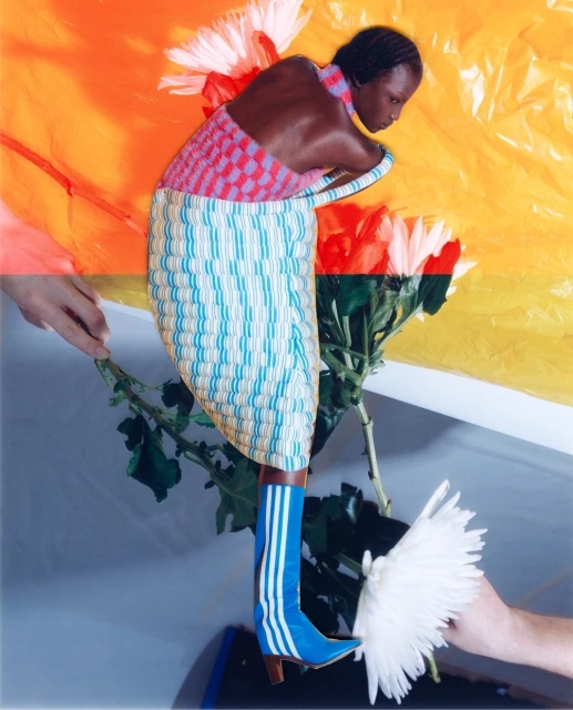 Viviane Sassen