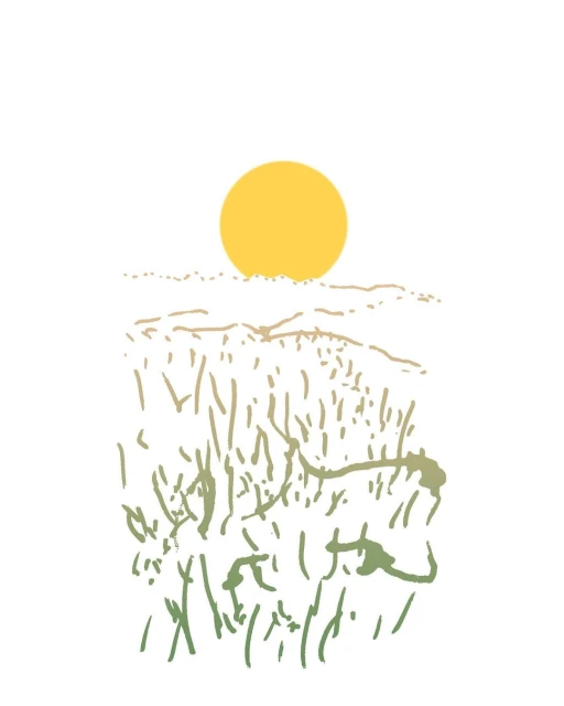 Philippe Dufour-loriolle